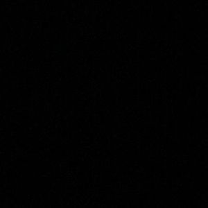 Meet your Posher, Joey